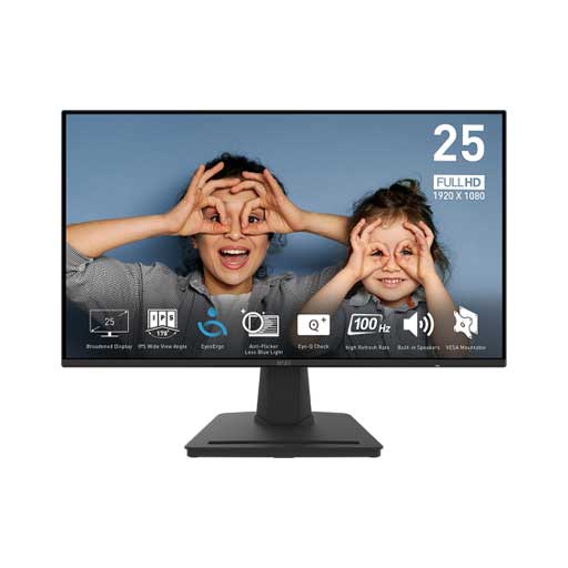 مانیتور ام اس ای MSI MP252